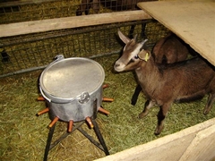 Decouverte 26 Pays de Dieulefit 017 (Small)