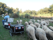 De ferme en ferme... le nez en l'air !